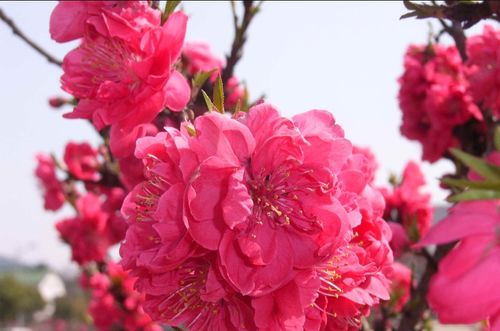  适合朋友圈发的干净治愈的句子,简短走心,独一无二