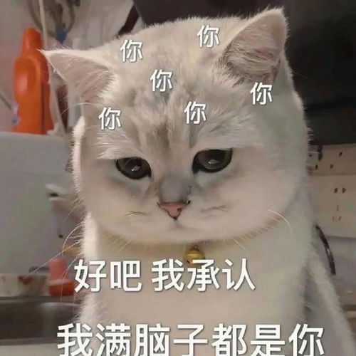  笑话十条如何用一句话形容自己读过四大名著
