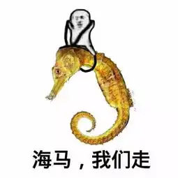  红极一时的鹦鹉兄弟已失宠表情包新宠皮皮虾横空出世