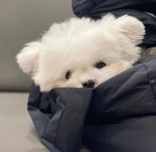  让自己快乐快乐这才叫做意义