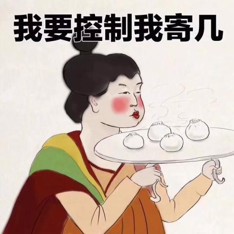  摔跤吧爸爸到神秘巨星成功的原因小人物的梦想有力量