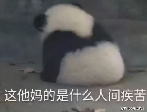  天刀玩家出逃,武侠游戏都沸腾了剑网3逆水寒哪个段位最高
