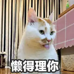  油油,油饼