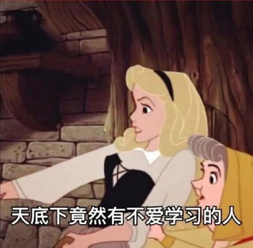  好累......真实的大学生活居然是这样的