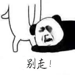  等了好久,微博终于出了真正无广告软件