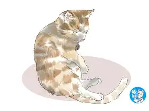 橘猫整晚没回家,女子隔天在路上遇见它时,缓缓打出一个问号