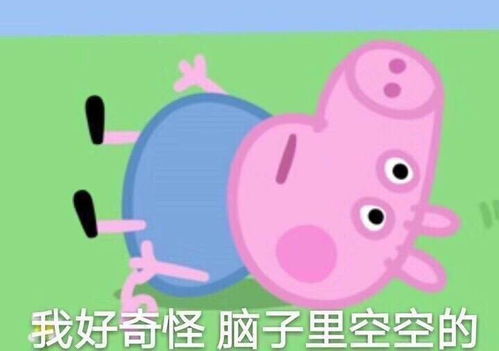  执业药师考前最后两天紧张到哭...