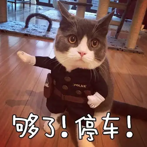 打滚表情包猫猫山河令