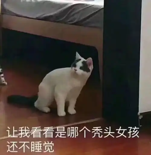  用了十几款防脱发洗发水,只有这几款是有效的当代脱发族救星控油又去屑洗发水分享
