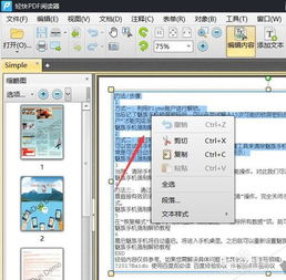  pdf文本如何添加样式设置pdf文字样式方法