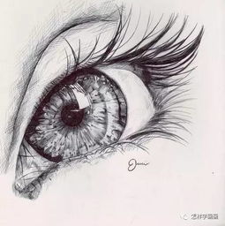  手绘眼睛绘画大全,简直美到不行