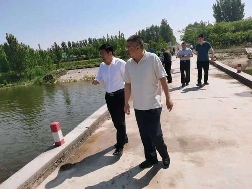 市海渔局调度北胶莱河水质提升工作
