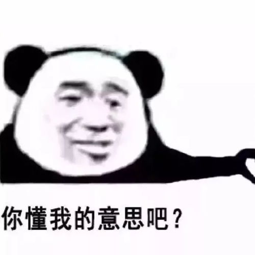  头像温柔与你,同为宝藏