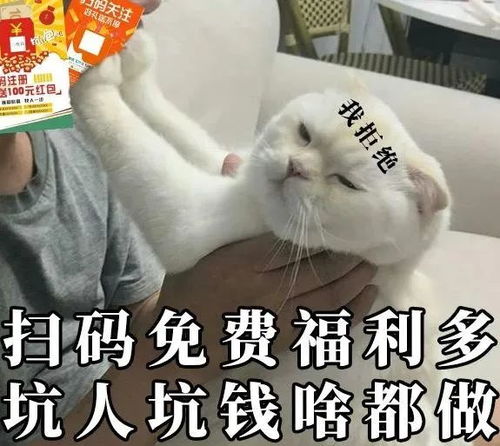  这些诈骗套路,你不得不防