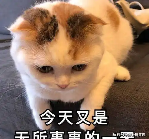  搞笑段子上晚自习的时候,很多男生就故意逗她开心