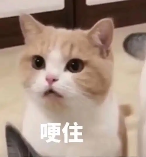  为什么有的帅哥要说自己丑