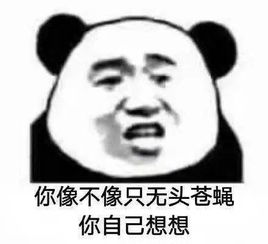  熊猫头斗图表情包爸爸的事,你少管