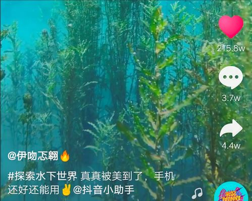  抖音爆红水下拍摄视频美哭网友,现拍摄方法大揭秘