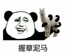 握日表情包下载手握太阳表情包下载飞翔下载