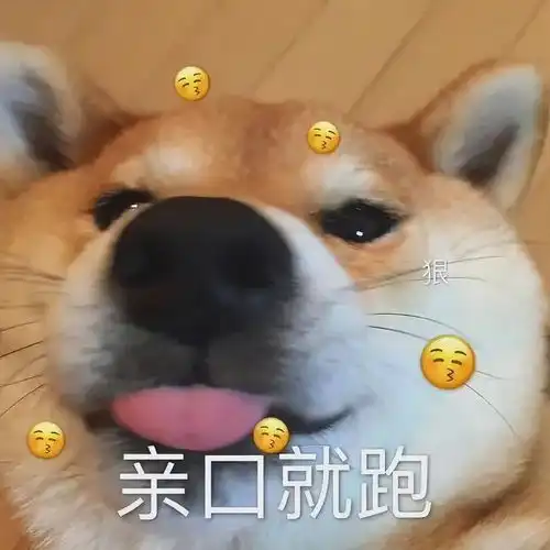  狗狗动图表情包吃溜溜梅了吗