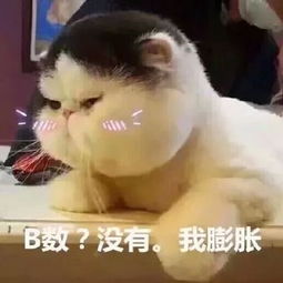 就那么一点点表情包微笑