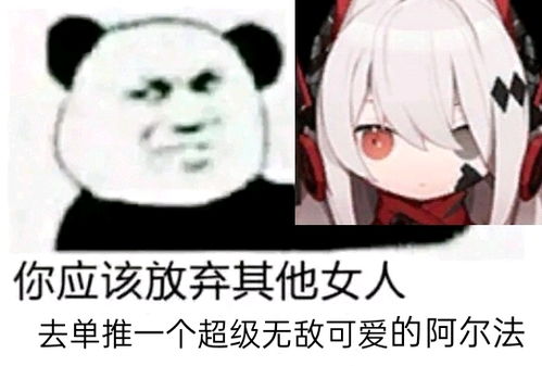 让我看看表情包帕鲁