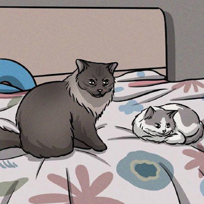  呆萌猫咪图片卡通头像漂亮猫咪图片大全可爱