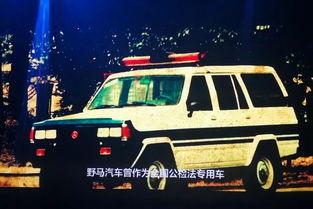  大白话解读野马汽车2025战略,小学生都能看得懂
