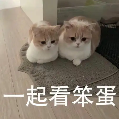  组鞋是指组里姐妹人手一双吗我懂了