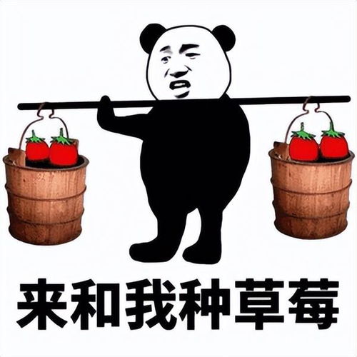  某影后与九亿姐斗法秘闻
