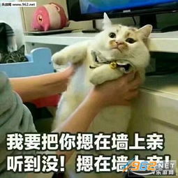 亲表情包
