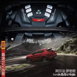 可以用四叶草当头像吗su