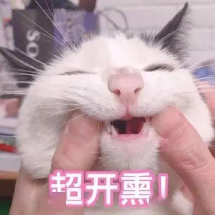  玩美咖plus林允上线