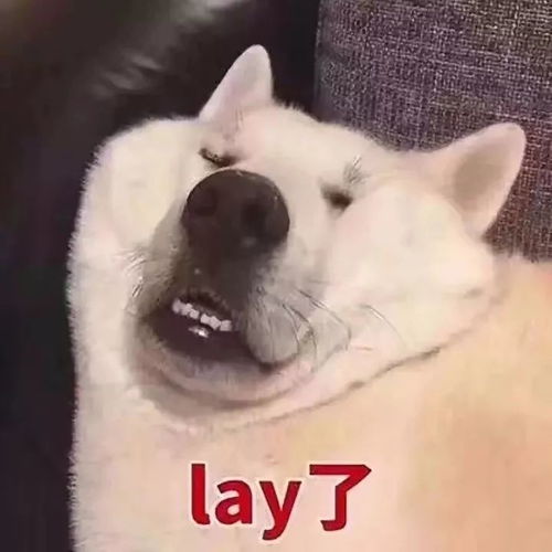  客户眼中的银行八小时制真的只有八小时吗