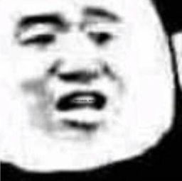  对不起我错了系列表情包