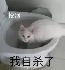  你算什么垃圾
