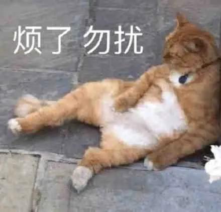  表情包就你,给我看看腹肌