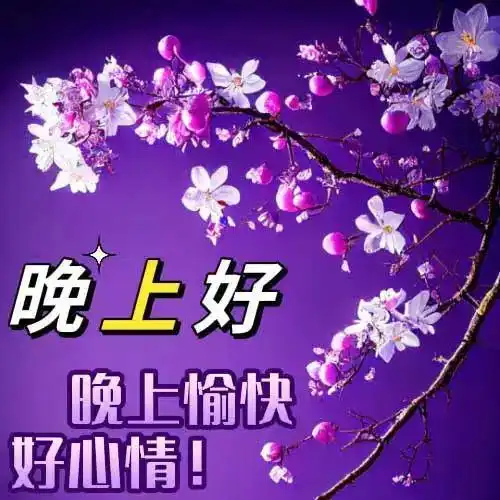  晚上好动态带字图片晚安图片表情包