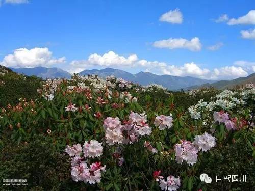  5月,四川最佳旅行地榜单