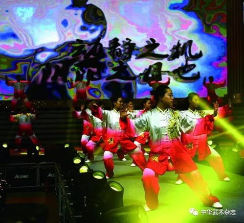  2017年世界超级散打王争霸赛火爆上演