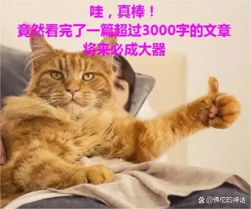 求职图片表情包猫咪