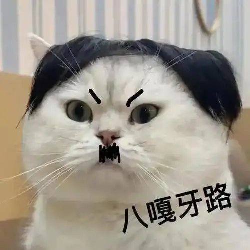  表情包千千万,只有新的最想看