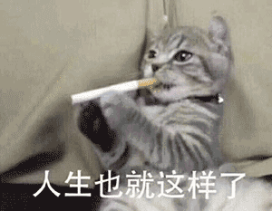 高考前后的差别对待不敢吐槽,不敢嫌弃,过于真实,欲哭无泪腾讯新闻
