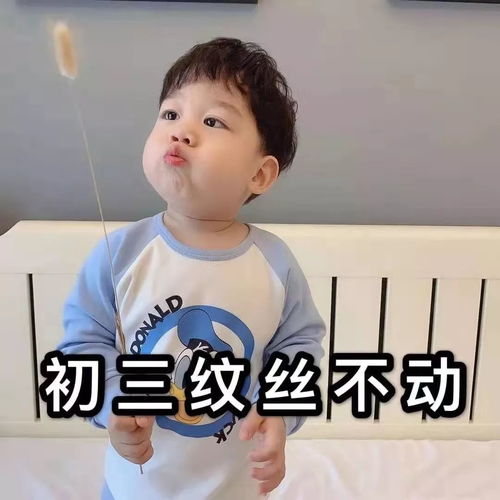 初一表情包摸鱼