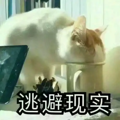  为什么会不停地喜欢上其他人