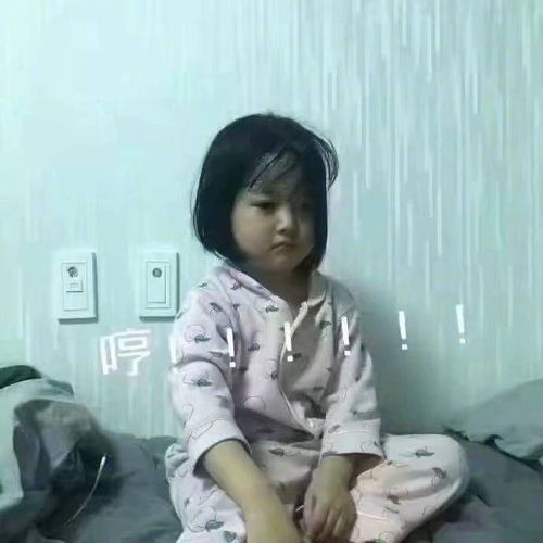 权律二哼表情包生起