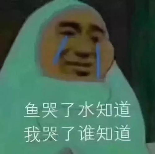 掀桌子表情包我不干了秋