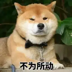  青岛人养狗注意啦这样做直接罚200元