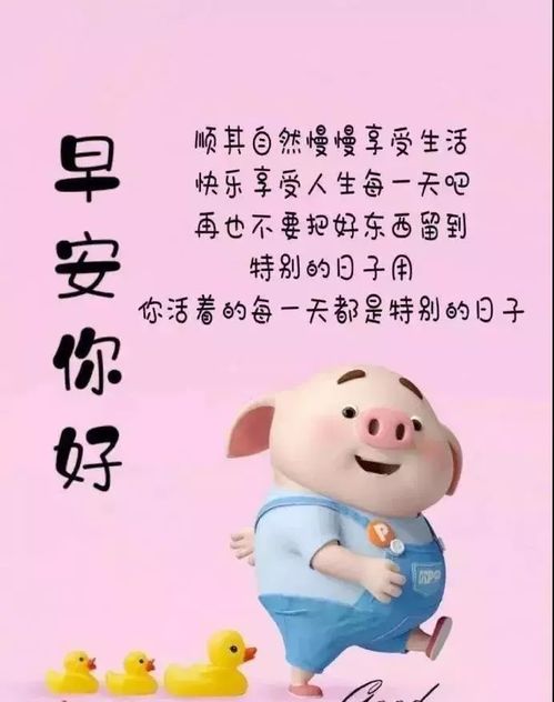  唯美早上好问候语图片表情精选,新版最美早上好祝福句子