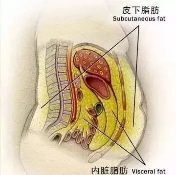  无标题
